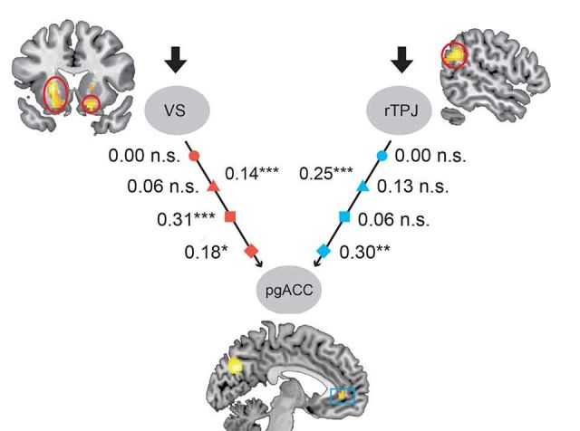 We show how antecedents of gratitude are integrated in the brain to give rise to gratitude (Yu et al., 2018).